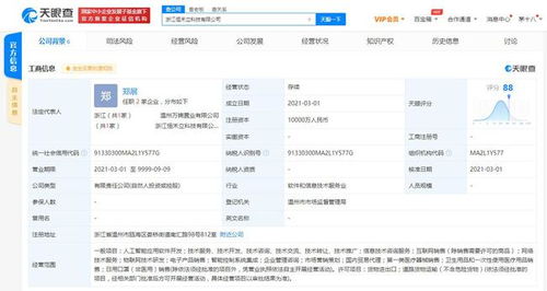 森馬關聯企業參股成立新公司，拓展人工智能應用軟件開發新領域