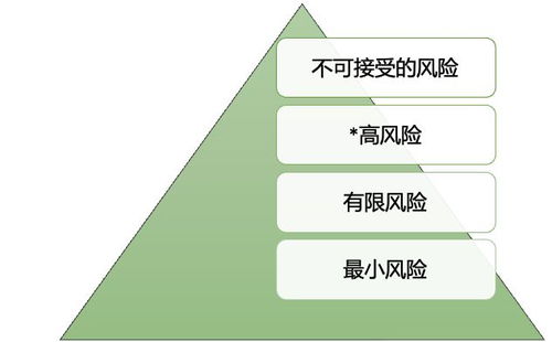 生成式AI發展與監管白皮書④ 新的‘iPhone時刻’來臨，歐美治理如何各顯神通？——聚焦人工智能應用軟件開發