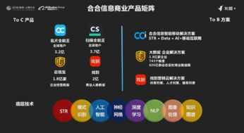 合合信息榮膺2018上海軟件雙百強，以人工智能驅動應用創新再啟新程